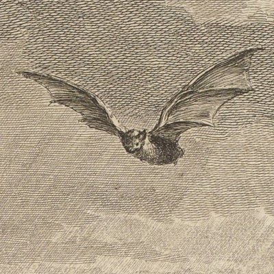 La chauve-souris, le buisson… (La Fontaine, Desaint & Saillant, 1755) - Oudry