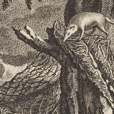 Le Chat et le rat (La Fontaine, Desaint et Saillant, 1755) - Oudry