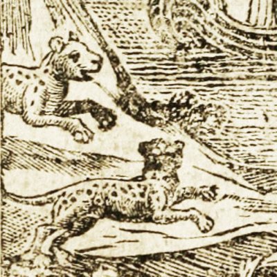 Les deux léopards de Guinée (Robinson Crusoe abrégé, Londres 1752)