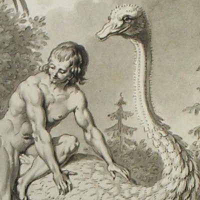  Histoire des oiseaux (Dessins pour les Voyages imaginaires) - Marillier