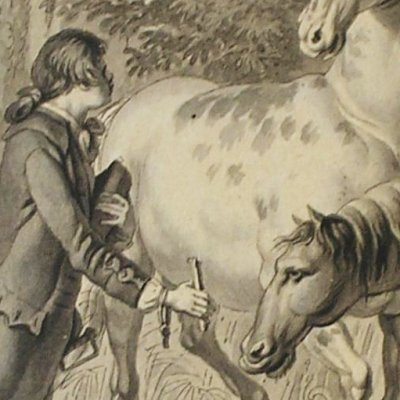 Gulliver chez les Houyhnhnms (Dessins pour les Voyages imaginaires) - Marillier