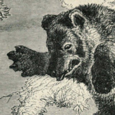 Vendredi et l’ours (Robinson Crusoe, Londres, 1863)