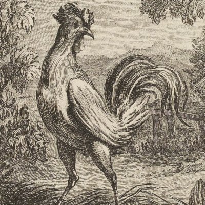 Le coq et la perle (La Fontaine, Desaint et Saillant, 1755) - Oudry