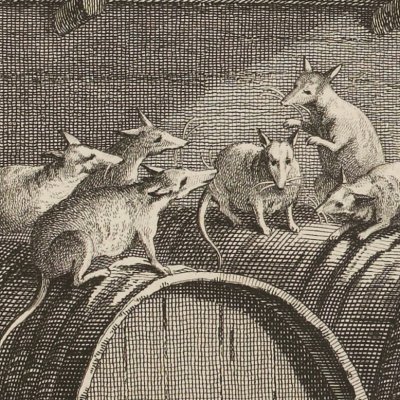 Conseil tenu par les rats (La Fontaine, Desaint et Saillant, 1755) - Oudry
