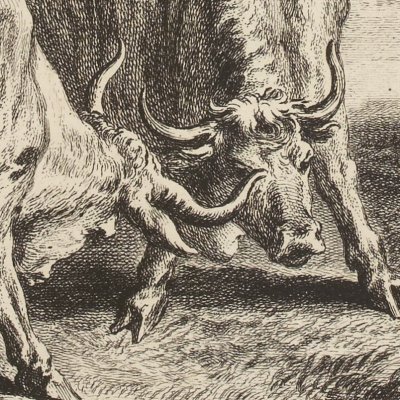 Les deux taureaux & une grenouille (La Fontaine, Desaint&Saillant, 1755) - Oudry