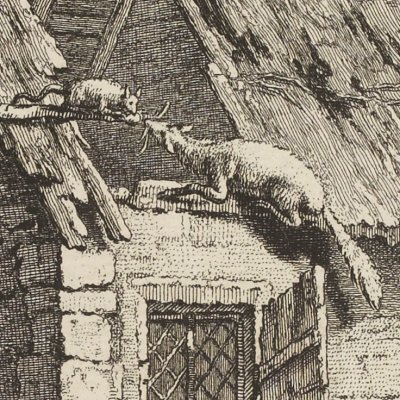 The bat & the two weasels (La Fontaine Desaint&Saillant 1755) - Oudry