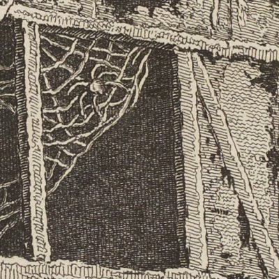 La goutte et l’araignée, 2e pl. (La Fontaine, Desaint & Saillant, 1755) - Oudry