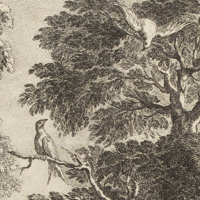 Philomèle et Progné (La Fontaine, Desaint et Saillant, 1755) - Oudry