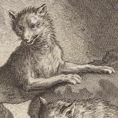 Le renard qui a la queue coupée (La Fontaine, Desaint et Saillant, 1755) - Oudry