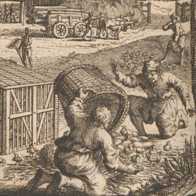 L’agriculture d’Utopie. Élevage des poulets (More, Utopie, 1715)