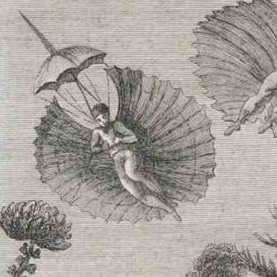 Les Hommes-singes (Rétif, Découverte australe, 1781)