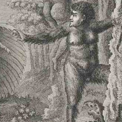 Les Hommes-ours (Rétif, Découverte australe, 1781)