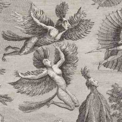 Les Hommes-oiseaux (Rétif, Découverte australe, 1781)