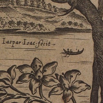 Hyacinthe (Les Images…, Philostrate, éd. Vigenère 1637)