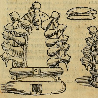 Four à distiller (G della Porta, De distillatione lib. IX, Rome, 1608)