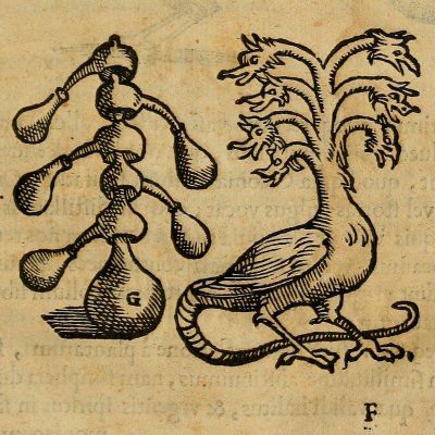 Cornue polycéphale (G della Porta, De distillatione lib. IX, Rome, 1608)