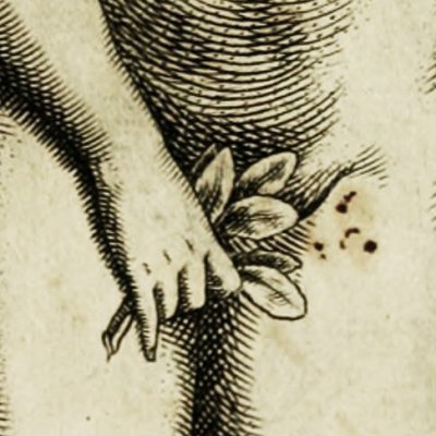 Fig antérieure & postérieure de la femme (G Della Porta, De physiognomonia 1586, p. 21)