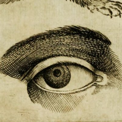 Œil de mangouste (G. della Porta, De physiognomonia, 1586, p. 195)