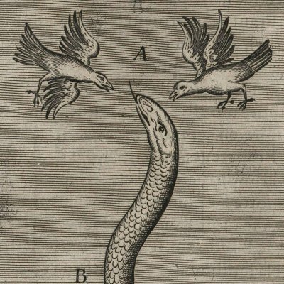 De la ruine de l’Empire des Turcs, 1ère fig. (Histoire générale des Turcs, 1662)