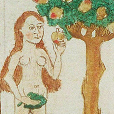 Le fruit défendu (Speculum humanæ salvationis, KB 10 B 34, F2va)