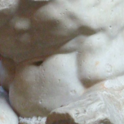 Torse du Belvédère - Apollonios, fils de Nestor