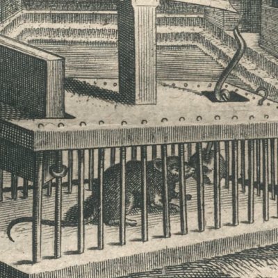 Fit spolians spolium (J. Catz, Proteus, 1627, n°12) - A. P. van de Venne