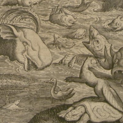 La création des animaux marins (Gottfried, Hist. Chronica, 1674) - Merian
