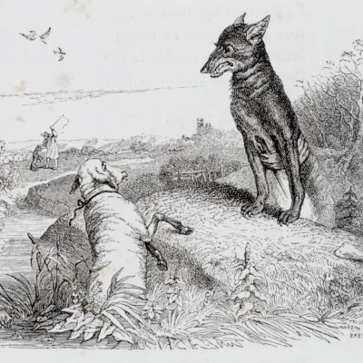 The wolf and the lamb (Furne 1847) - Brévière after Grandville
