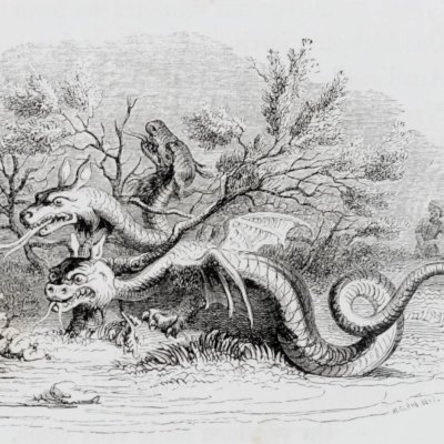 Le dragon à plusieurs têtes et le dragon à plusieurs… (Furne 1847) - Grandville