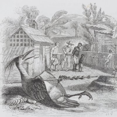 L’oiseau blessé d’une flèche (Furne 1847) - Laisné d'après Grandville
