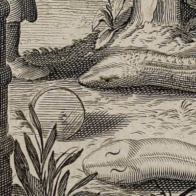 Le serpent chevelu, en Inde (Kircher, Chine illustrée, 1670)