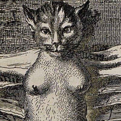 Chat volant, très goûté en Chine (Kircher, Chine illustrée, 1670, p. 113)