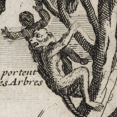Singe portant un enfant sur un arbre (Voyage de M. de Gennes, 1699) - Inselin ?