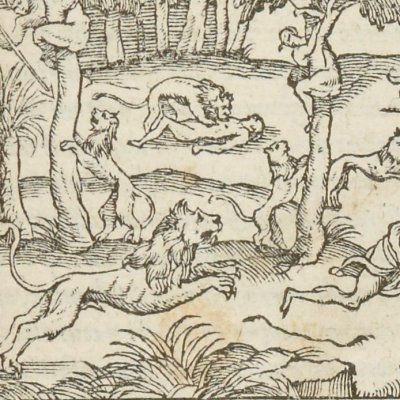 Lions d’Afrique (Singularités de la France antarctique, 1558)