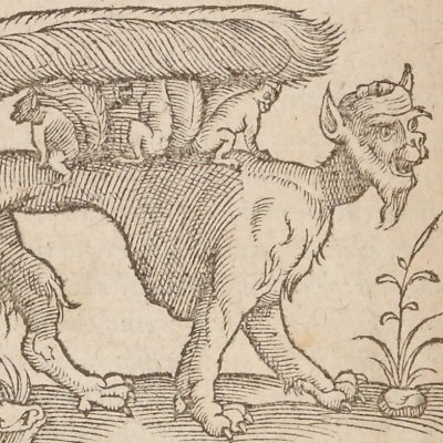 Bête et ses petits (Singularités de la France antarctique, 1558)