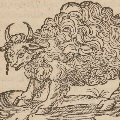 Taureau sauvage (Singularités de la France antarctique, 1558)