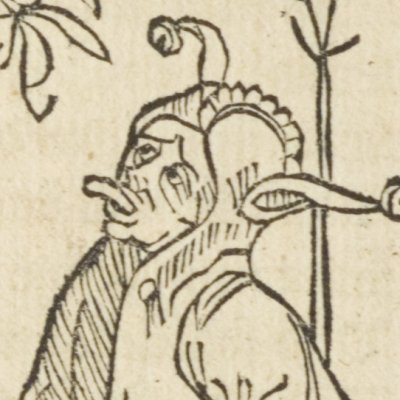 Des propos trop bavards (Brant, Das Narrenschiff, Bâle, 1494, F25v)