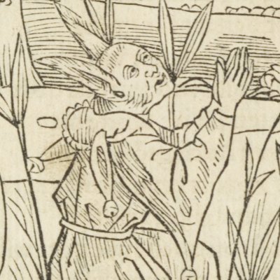 Des vœux inopportuns (Brant, Das Narrenschiff, Bâle, 1494, F33v)