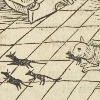 De l’adultère (Brant, Das Narrenschiff, Bâle, 1494, F41v)