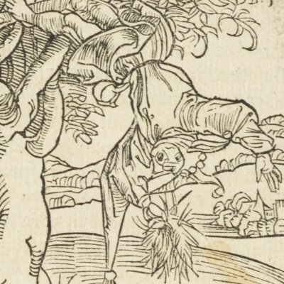 De l’esprit rebelle (Brant, Das Narrenschiff, Bâle, 1494, F45v)