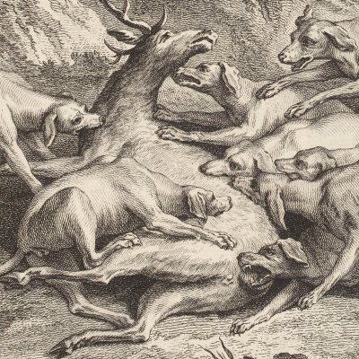 Le cerf et la vigne (La Fontaine, Desaint et Saillant, 1755) - Oudry