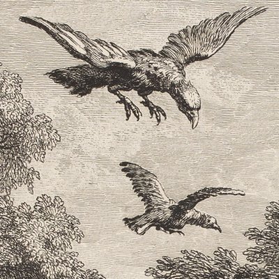 Le lièvre et la perdrix (La Fontaine, Desaint et Saillant, 1755) - Oudry