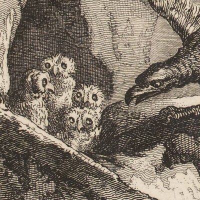 L’aigle et le hibou (La Fontaine, Desaint et Saillant, 1755) - Oudry