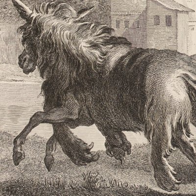 L’âne vêtu de la peau du lion (La Fontaine, Desaint et Saillant, 1755) - Oudry