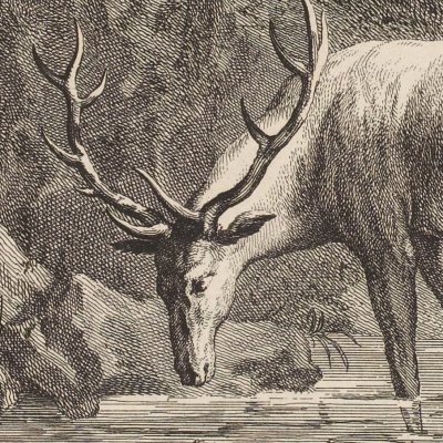 Le cerf se voyant dans l’eau (La Fontaine, Desaint et Saillant, 1755) - Oudry