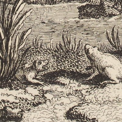 Le soleil et les grenouilles (La Fontaine, Desaint et Saillant, 1755) - Oudry