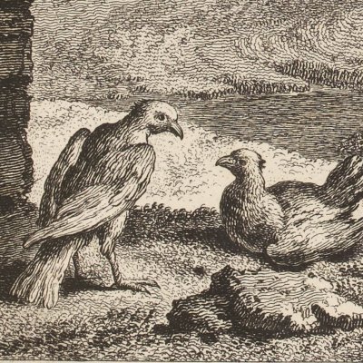 Les deux pigeons (La Fontaine, Desaint et Saillant, 1755) - Oudry