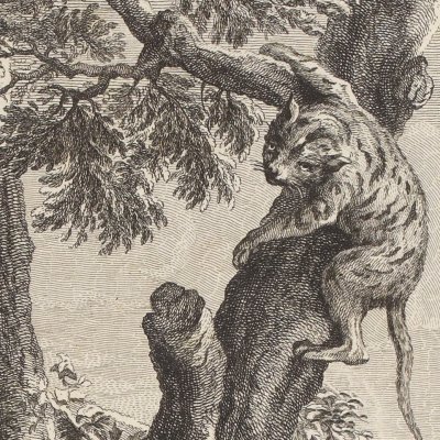 Le chat et le renard (La Fontaine, Desaint et Saillant, 1755) - Oudry