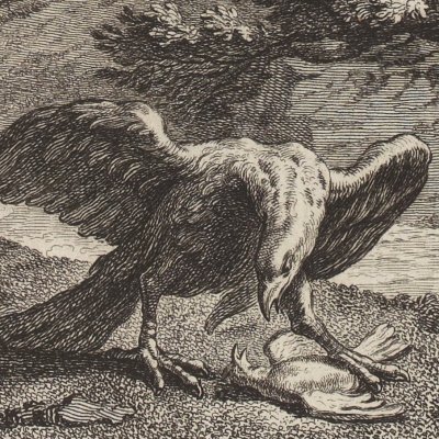 The kite and the nightingale (La Fontaine, Desaint et Saillant, 1755) - Oudry