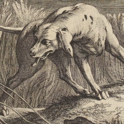 La perdrix (La Fontaine, Desaint et Saillant, 1755) - Oudry